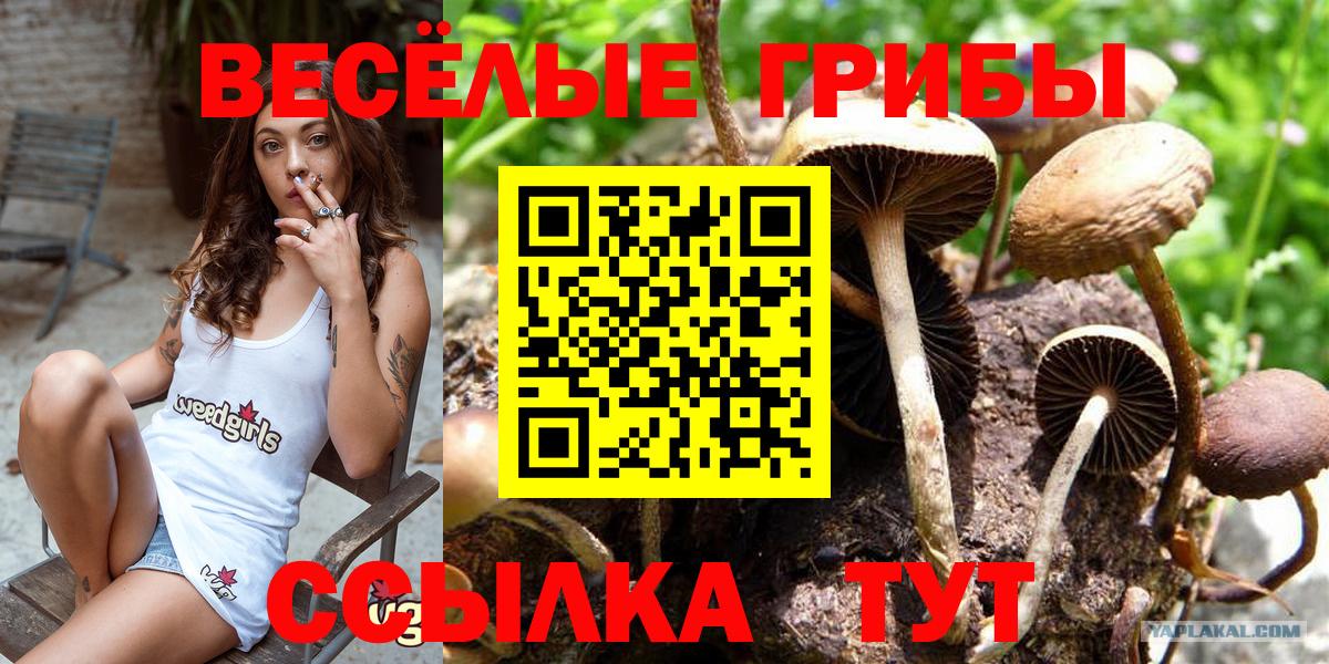 Псилоцибиновые грибы GOLDEN TEACHER Первоуральск